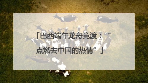 巴西端午龙舟竞渡：“点燃去中国的热情”