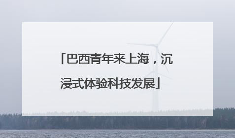 巴西青年来上海，沉浸式体验科技发展