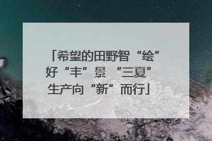 希望的田野智“绘”好“丰”景 “三夏”生产向“新”而行