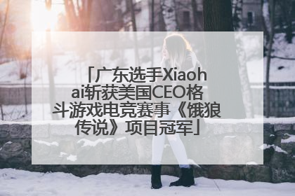 广东选手Xiaohai斩获美国CEO格斗游戏电竞赛事《饿狼传说》项目冠军