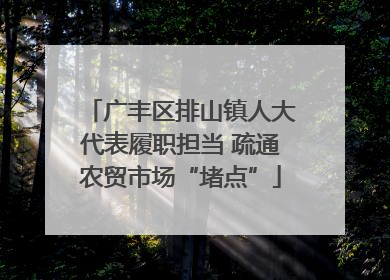 广丰区排山镇人大代表履职担当 疏通农贸市场“堵点”