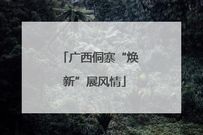 广西侗寨“焕新”展风情