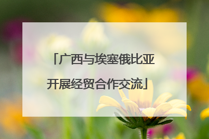 广西与埃塞俄比亚开展经贸合作交流