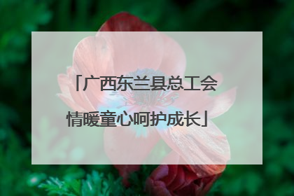 广西东兰县总工会情暖童心呵护成长