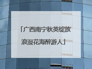 广西南宁秋英绽放 浪漫花海醉游人