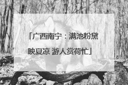 广西南宁：满池粉黛映夏凉 游人赏荷忙
