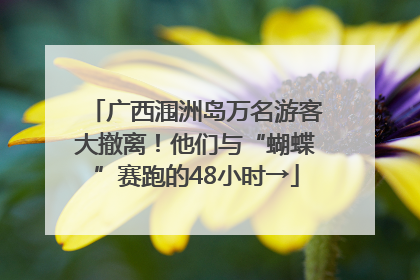 广西涠洲岛万名游客大撤离！他们与“蝴蝶”赛跑的48小时→