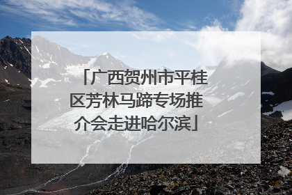 广西贺州市平桂区芳林马蹄专场推介会走进哈尔滨