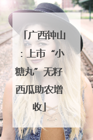 广西钟山：上市“小糖丸”无籽西瓜助农增收