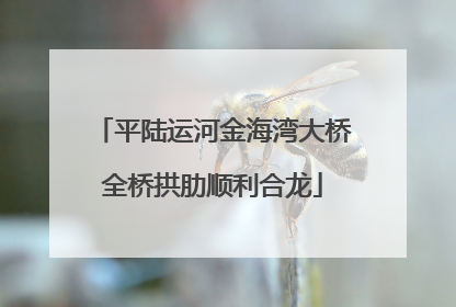 平陆运河金海湾大桥全桥拱肋顺利合龙
