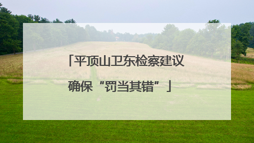 平顶山卫东检察建议确保“罚当其错”