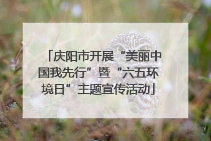 庆阳市开展“美丽中国我先行”暨“六五环境日”主题宣传活动