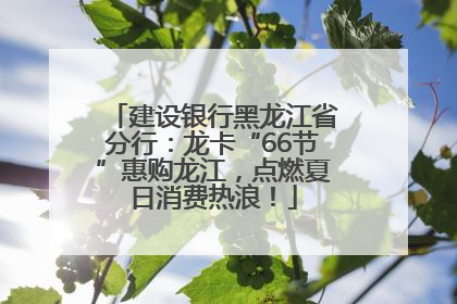 建设银行黑龙江省分行：龙卡“66节”惠购龙江，点燃夏日消费热浪！