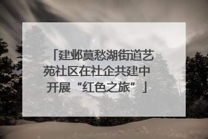 建邺莫愁湖街道艺苑社区在社企共建中开展“红色之旅”