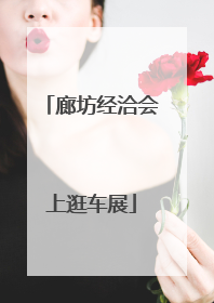 廊坊经洽会上逛车展