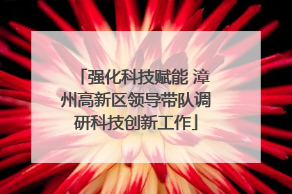 强化科技赋能 漳州高新区领导带队调研科技创新工作