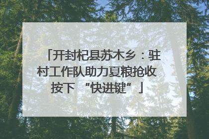 开封杞县苏木乡：驻村工作队助力夏粮抢收按下 “快进键”