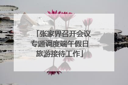张家界召开会议专题调度端午假日旅游接待工作