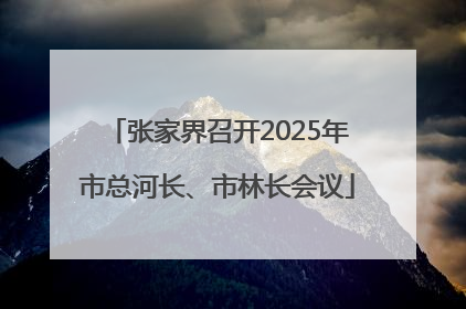 张家界召开2025年市总河长、市林长会议