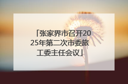 张家界市召开2025年第二次市委旅工委主任会议