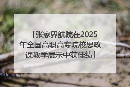 张家界航院在2025年全国高职高专院校思政课教学展示中获佳绩