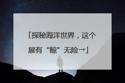 探秘海洋世界，这个展有“鲸”无险→