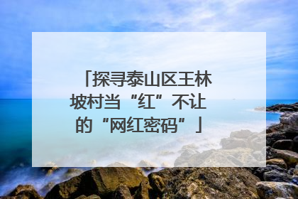 探寻泰山区王林坡村当“红”不让的“网红密码”