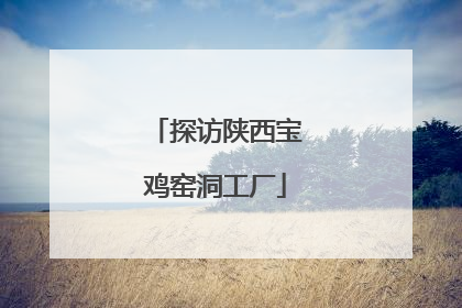 探访陕西宝鸡窑洞工厂