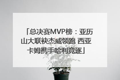 总决赛MVP榜：亚历山大联袂杰威领跑 西亚卡姆携手哈利竞逐