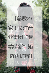 总数27家！长江产业集团“专精特新”矩阵再扩容