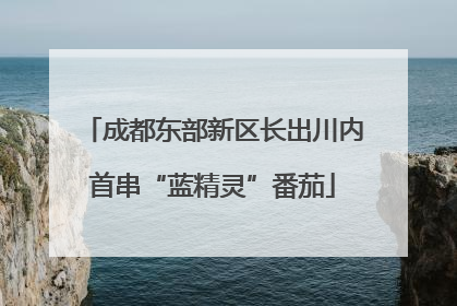 成都东部新区长出川内首串“蓝精灵”番茄