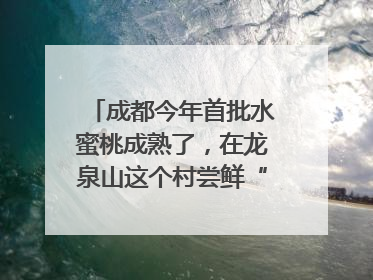 成都今年首批水蜜桃成熟了，在龙泉山这个村尝鲜“第一口”｜寻找和美乡村推荐官