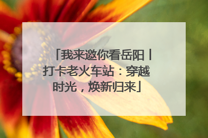 我来邀你看岳阳丨打卡老火车站：穿越时光，焕新归来
