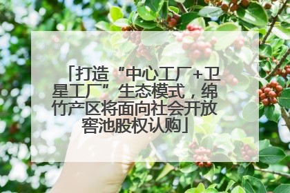 打造“中心工厂+卫星工厂”生态模式，绵竹产区将面向社会开放窖池股权认购