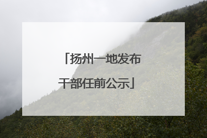 扬州一地发布干部任前公示