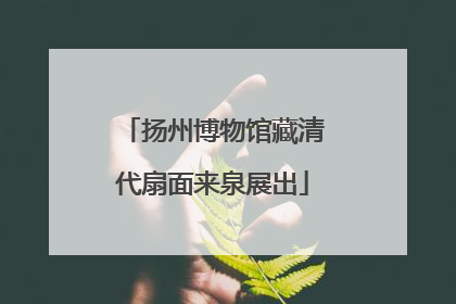 扬州博物馆藏清代扇面来泉展出