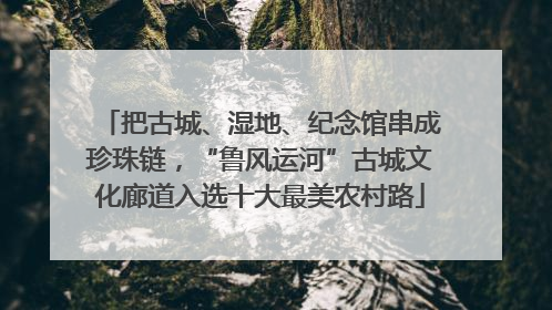 把古城、湿地、纪念馆串成珍珠链，“鲁风运河”古城文化廊道入选十大最美农村路