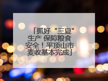抓好“三夏”生产 保障粮食安全！平顶山市麦收基本完成