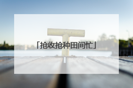 抢收抢种田间忙