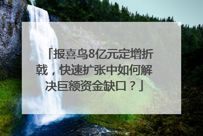 报喜鸟8亿元定增折戟，快速扩张中如何解决巨额资金缺口？