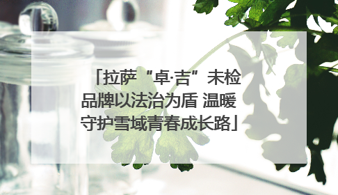 拉萨“卓·吉”未检品牌以法治为盾 温暖守护雪域青春成长路