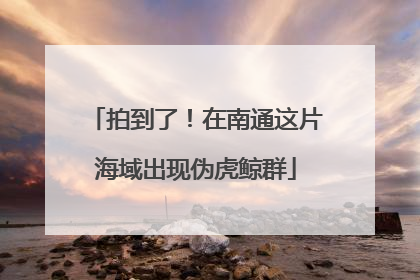 拍到了！在南通这片海域出现伪虎鲸群