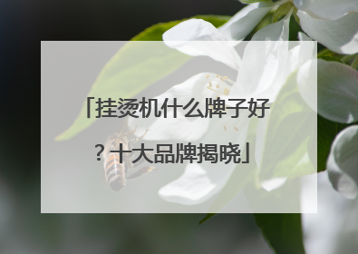 挂烫机什么牌子好？十大品牌揭晓