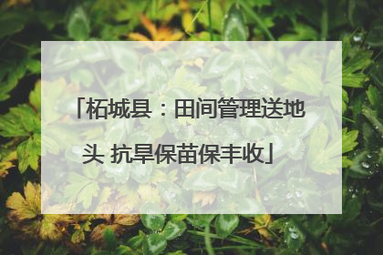柘城县：田间管理送地头 抗旱保苗保丰收