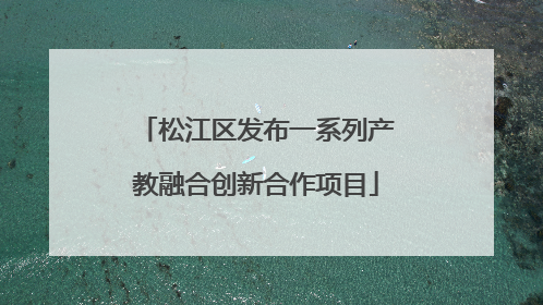 松江区发布一系列产教融合创新合作项目