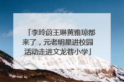李玲蔚王琳黄雅琼都来了，元老明星进校园活动走进文龙巷小学