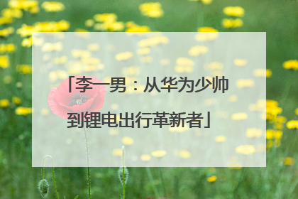 李一男：从华为少帅到锂电出行革新者