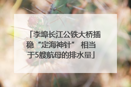李埠长江公铁大桥插稳“定海神针” 相当于5艘航母的排水量