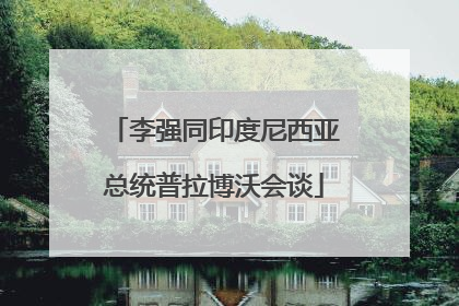李强同印度尼西亚总统普拉博沃会谈