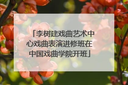 李树建戏曲艺术中心戏曲表演进修班在中国戏曲学院开班